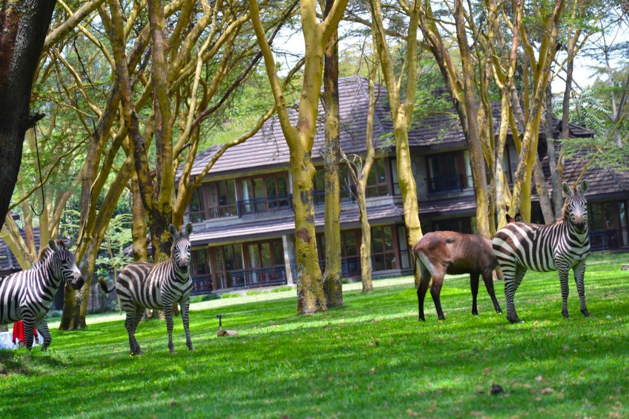 Lake Naivasha Simba Lodge Nairobi Eksteriør bilde